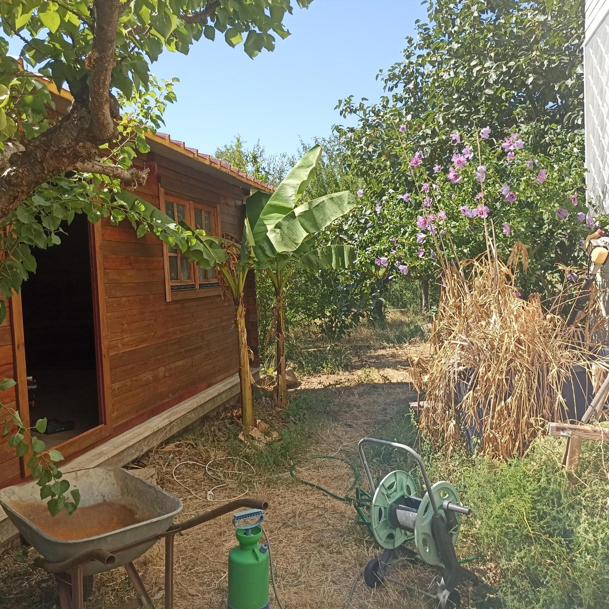 Ripe'S Forest Garden Guest House — Photos 2